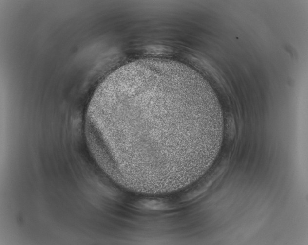 X0000113240557200910081300