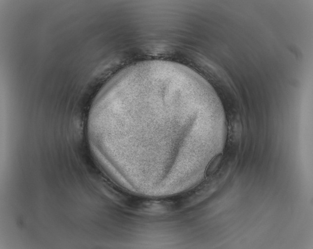 X0000113240558200910081300