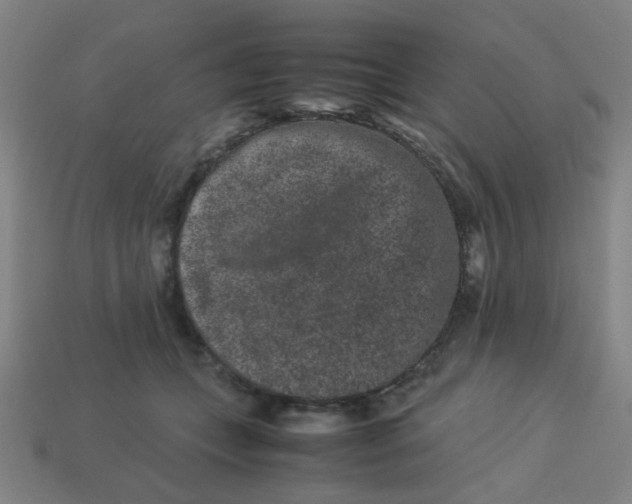 X0000113240559200910081300