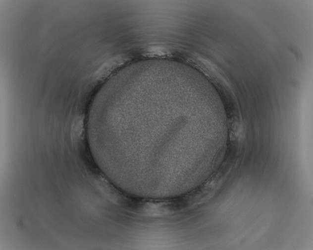 X0000113240560200910081300