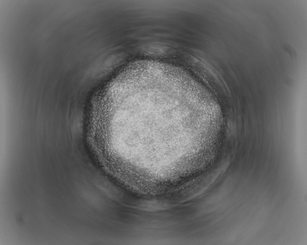 X0000113240561200910081300
