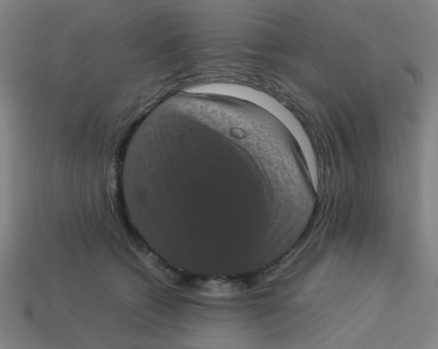 X0000113240562200910081300