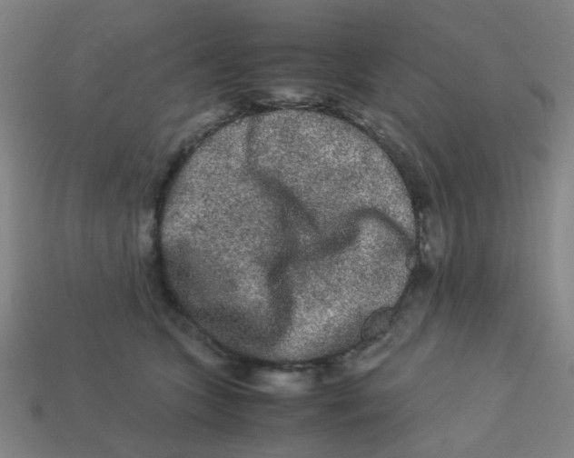X0000113240563200910081300