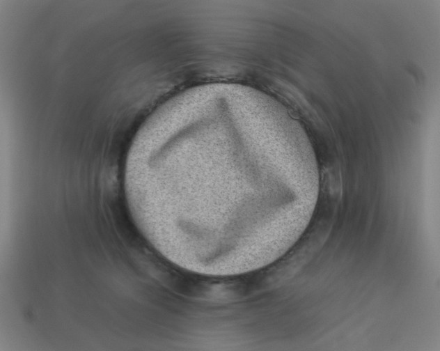 X0000113240564200910081300