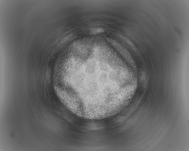 X0000113240565200910081300