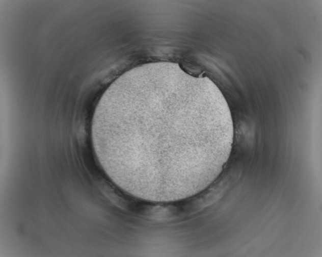 X0000113240566200910081300