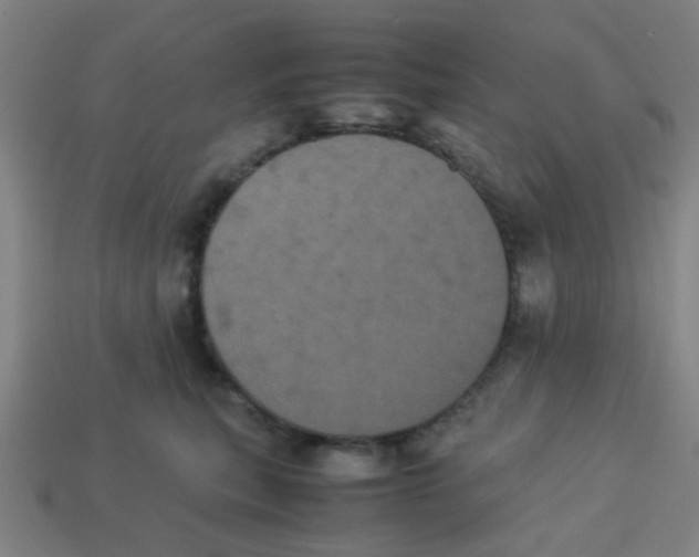 X0000113240567200910081300