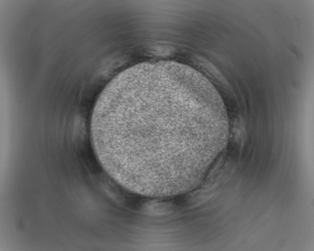X0000113240568200910081300