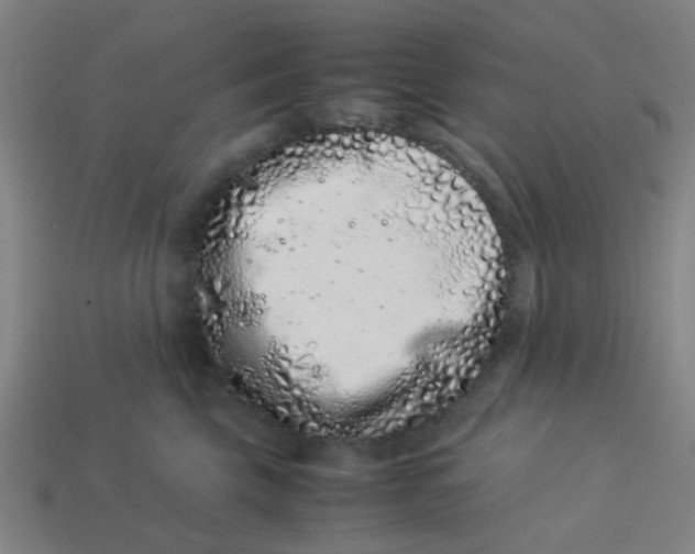 X0000113240569200910081300