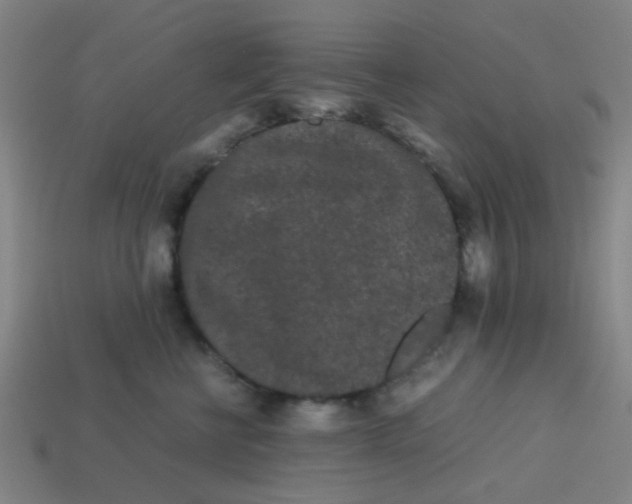 X0000113240570200910081300