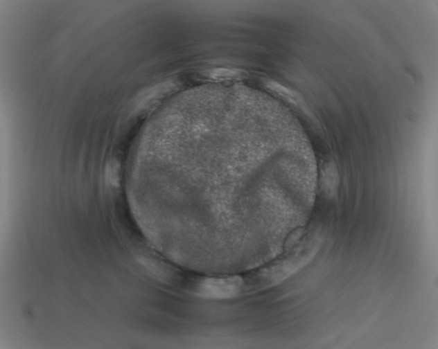 X0000113240571200910081300