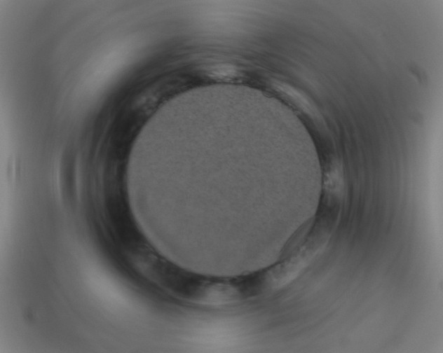 X0000113240572200910081300