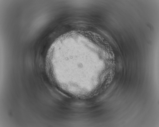 X0000113240573200910081300