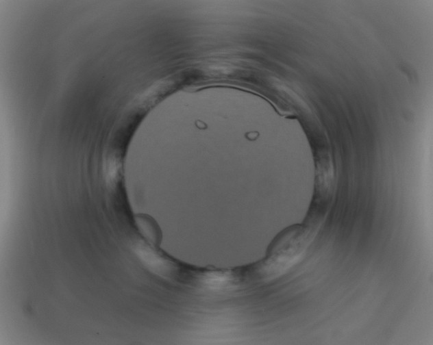 X0000113240574200910081300