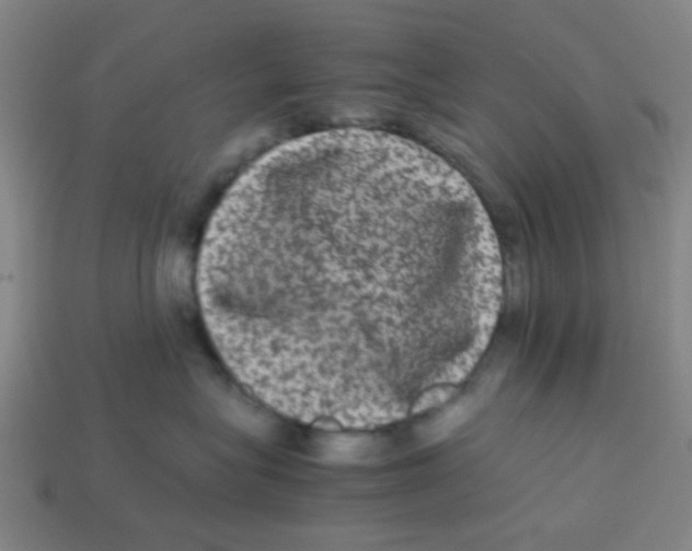 X0000113240575200910081300