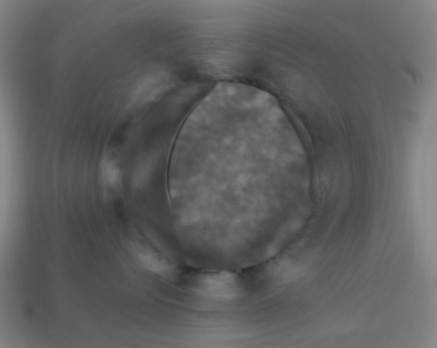 X0000113240576200910081300