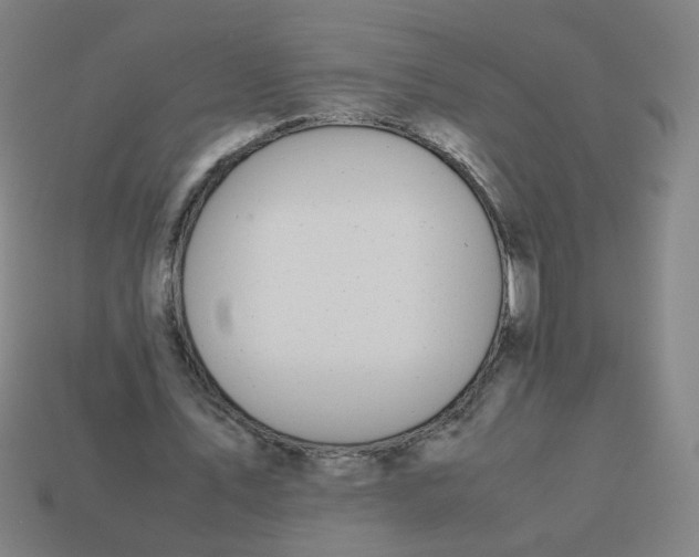 X0000113240579200910081300