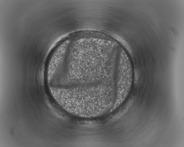 X0000113240580200910081300