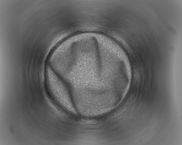 X0000113240582200910081259