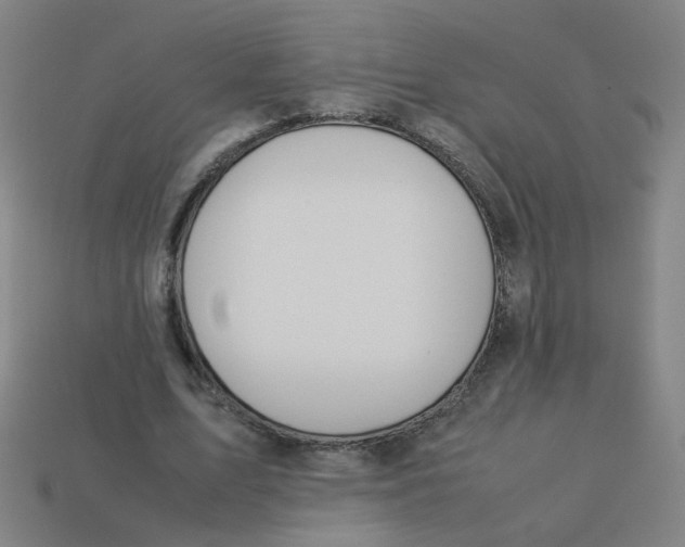 X0000113240583200910081259