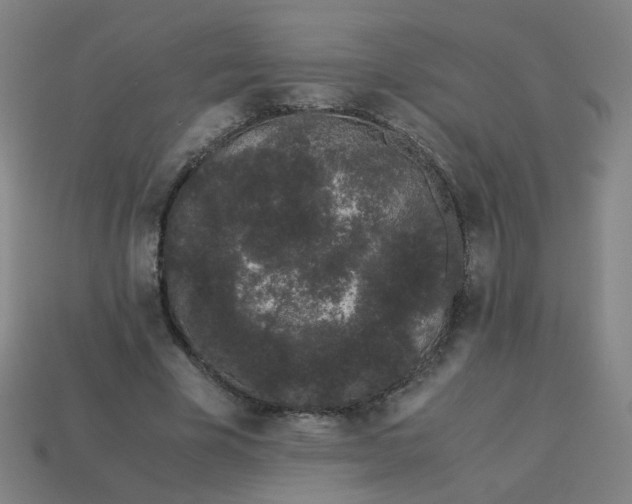 X0000113240585200910081259