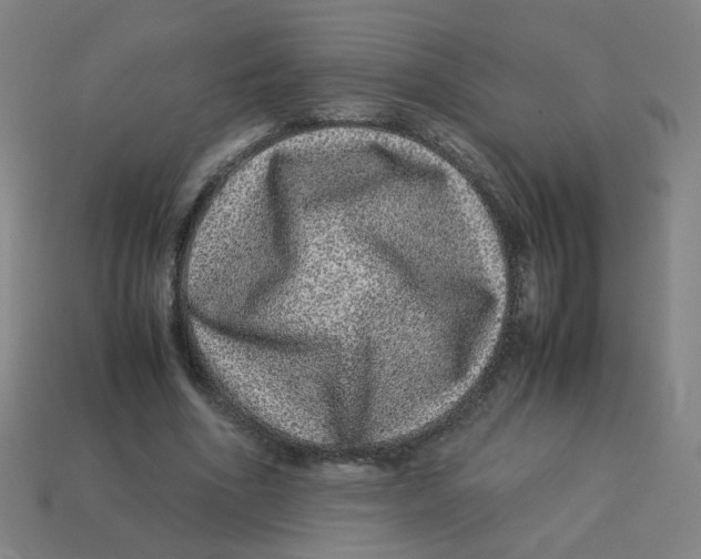 X0000113240586200910081259