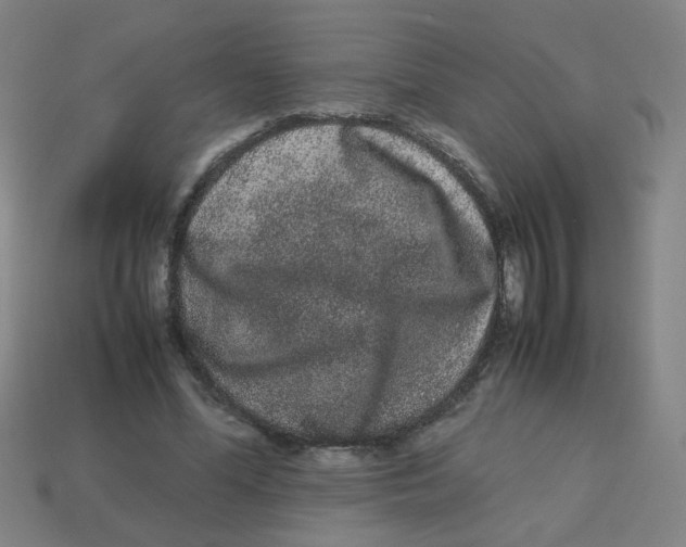 X0000113240588200910081259