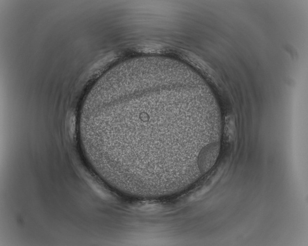 X0000113240589200910081259