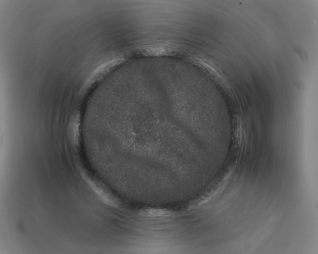 X0000113240590200910081259