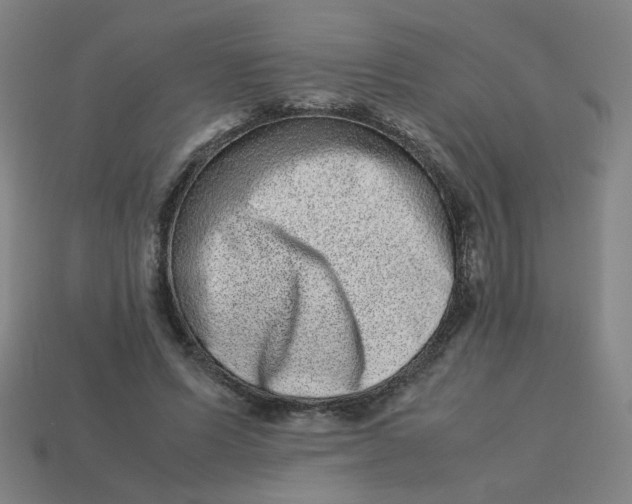 X0000113240591200910081259
