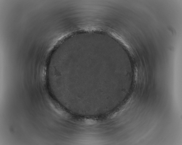 X0000113240592200910081259