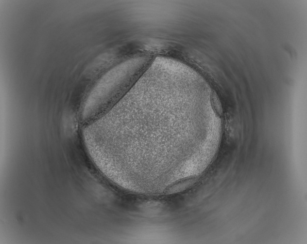 X0000113240593200910081259