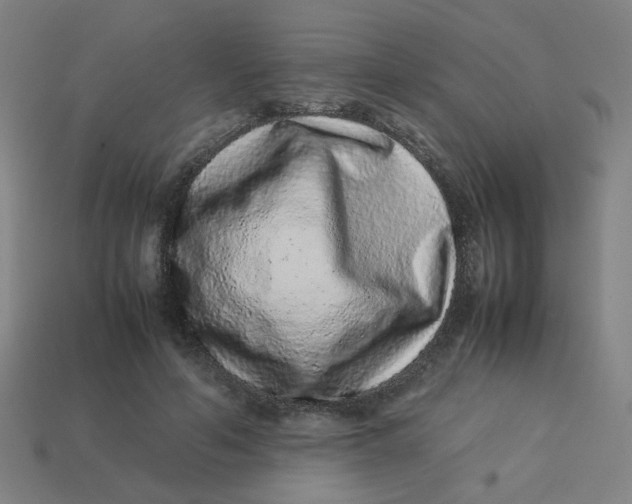 X0000113240594200910081259