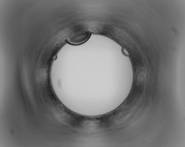X0000113240595200910081259