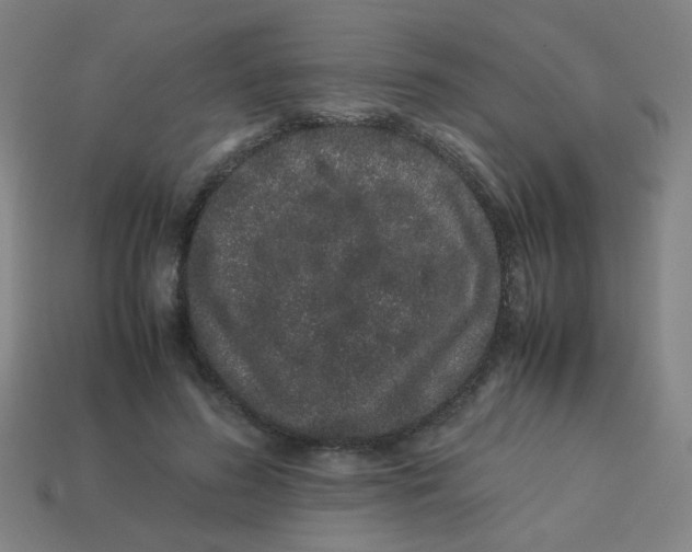 X0000113240596200910081259