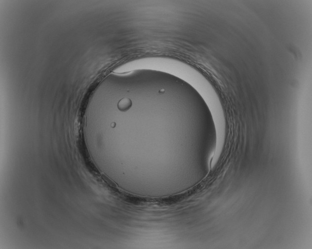 X0000113240597200910081259