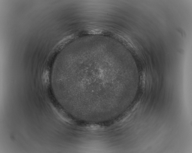 X0000113240598200910081259
