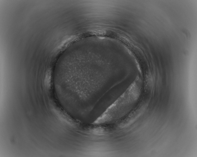 X0000113240600200910081259