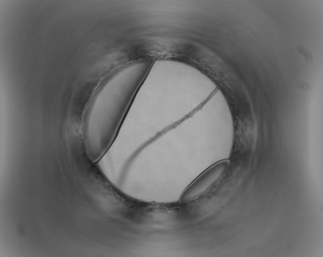 X0000113240601200910081259