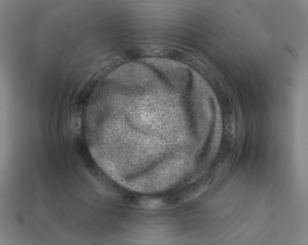 X0000113240602200910081259