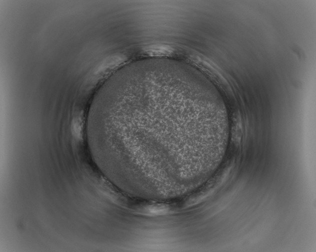 X0000113240604200910081259