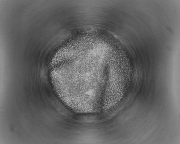 X0000113240606200910081259