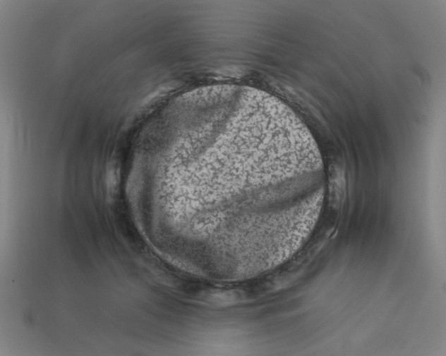 X0000113240608200910081259