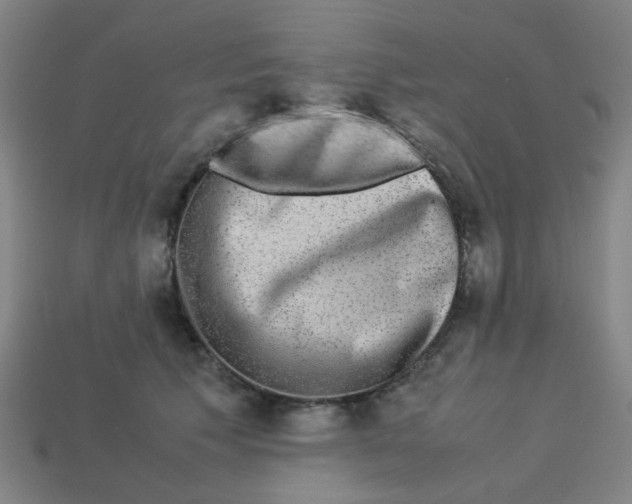 X0000113240609200910081259