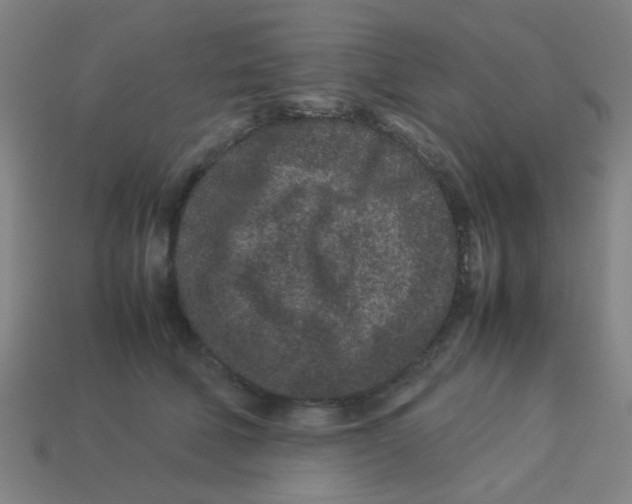 X0000113240610200910081259