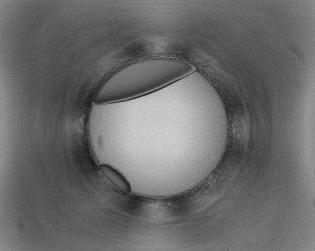 X0000113240611200910081259