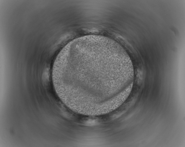 X0000113240612200910081259