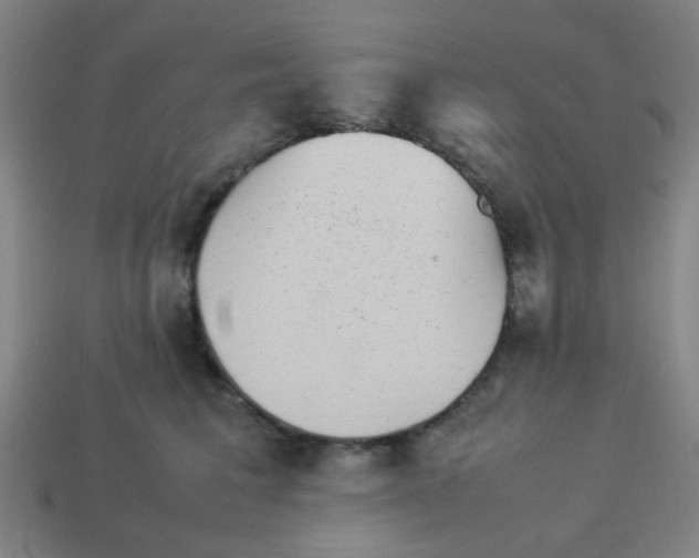 X0000113240613200910081259