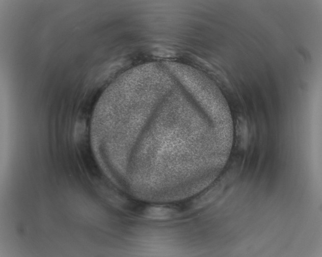 X0000113240614200910081259