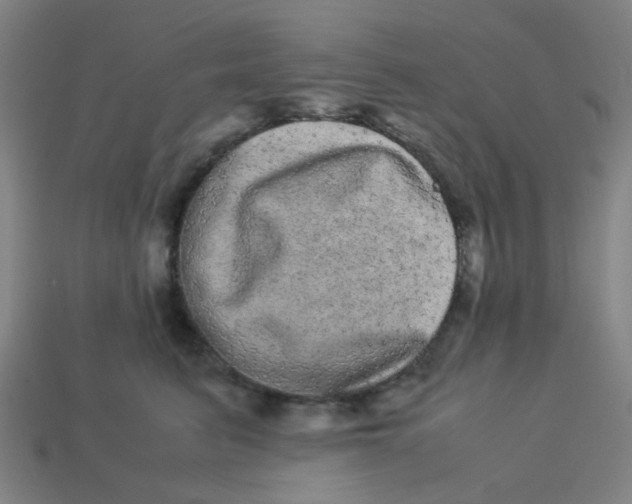 X0000113240615200910081259